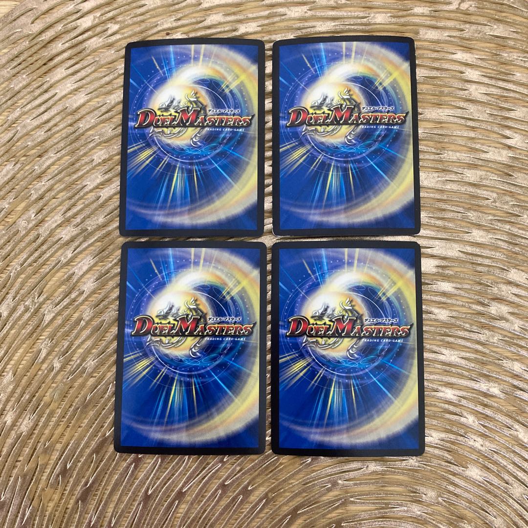 サッヴァークDG 四枚