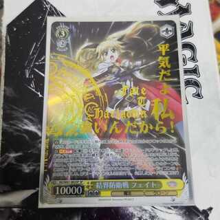 ヴァイスシュヴァルツ
魔法少女リリカルなのは
結界防衛戦 フェイト
SP
