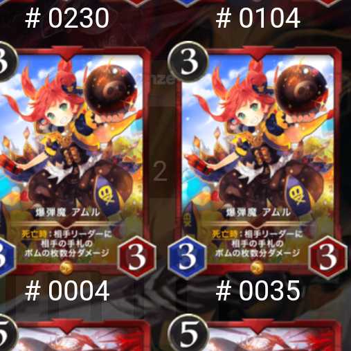 アムル２枚セット