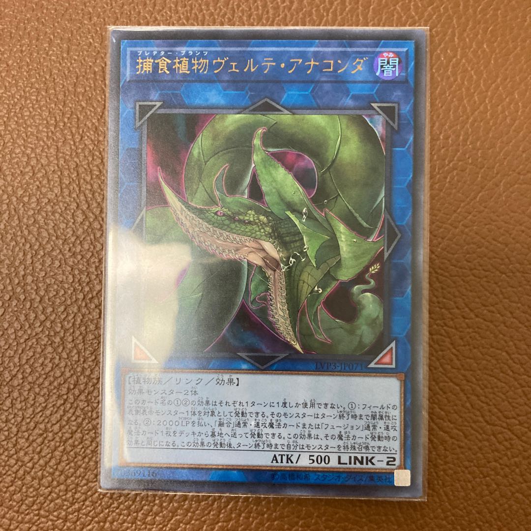 捕食植物ヴェルテ・アナコンダ ウルトラレア