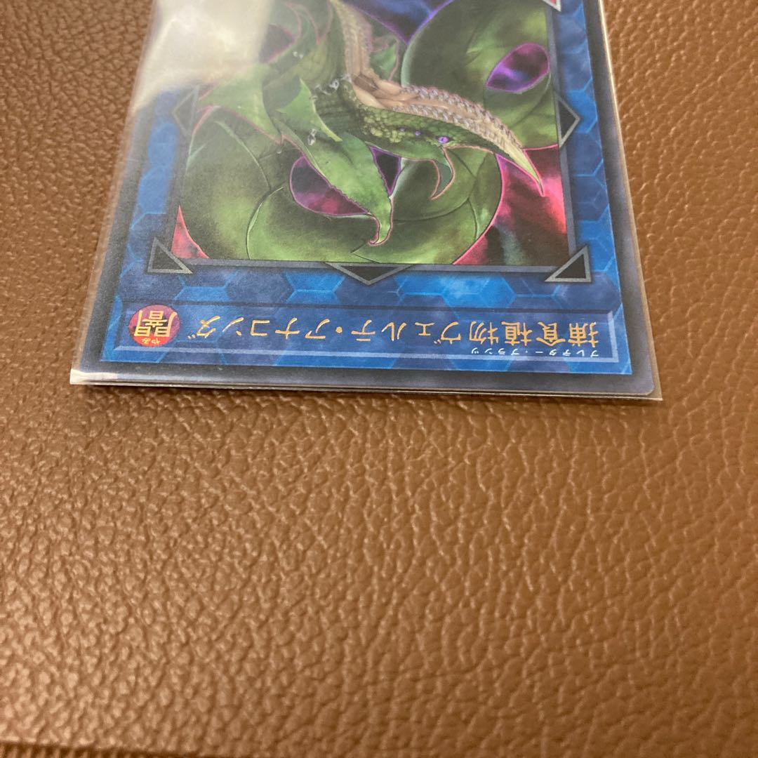 捕食植物ヴェルテ・アナコンダ ウルトラレア