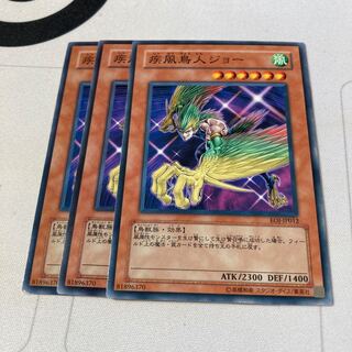 遊戯王　疾風鳥人ジョー ノーマル　3枚セット特価品