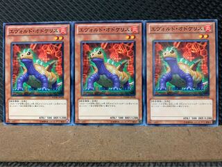【ぽぽたん】遊戯王 2862 エヴォルド・オドケリス 3枚 ノーマル