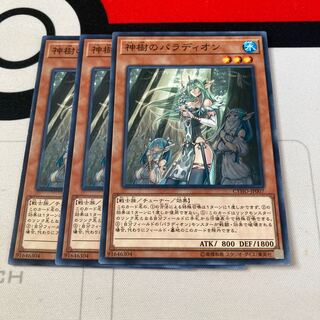 遊戯王　神樹のパラディオン ノーマル　3枚セット　特価品