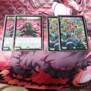 覇王類虹色目 イメン=ボアロ