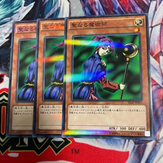 聖なる魔術師　3枚