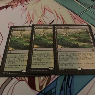 mtg 吹きさらしの荒野3枚セット