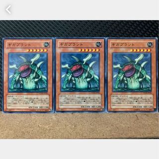 【ぽぽたん】遊戯王 2413 ギガプラント 3枚 ノーマル