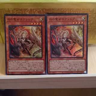 白の聖女エクレシア２枚