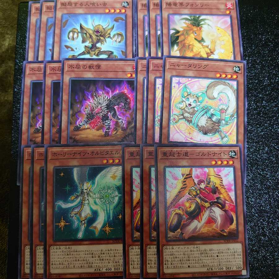 バーストオブデスティニー ノーマルモンスターセット