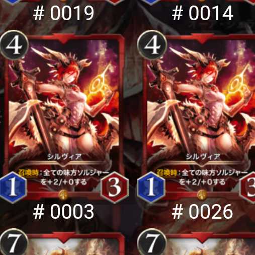 シルヴィア２枚セット