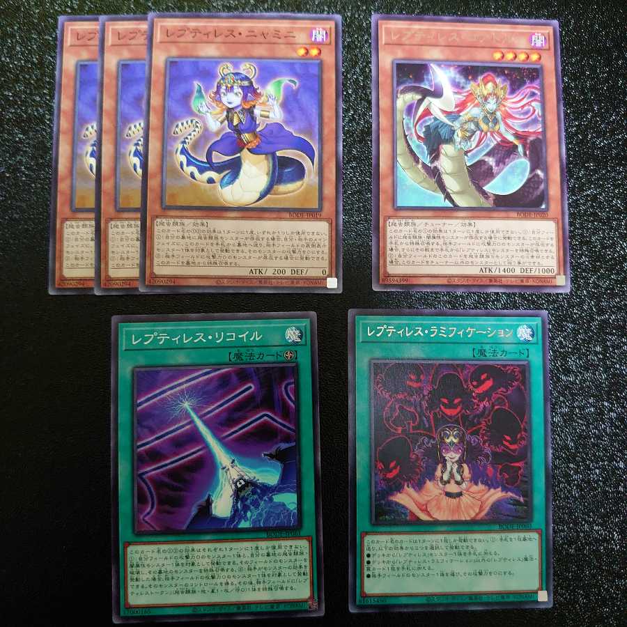 レプティレスセット