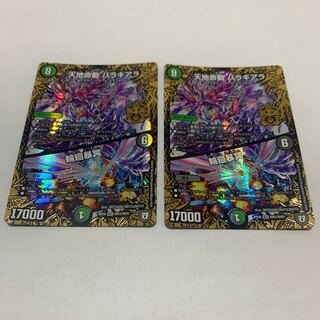 天地命動 バラギアラ｜輪廻暴冥　2枚