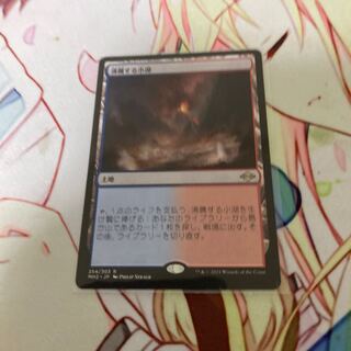 mtg 沸騰する小湖
