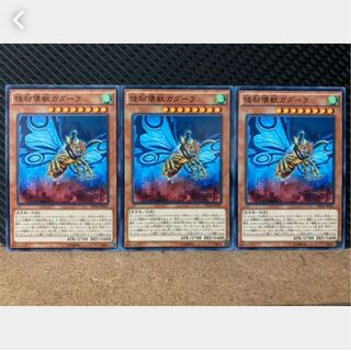 【ぽぽたん】遊戯王 2450 怪粉壊獣ガダーラ 3枚 ノーマル