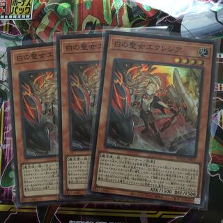 白の聖女エクレシア　