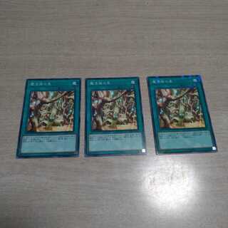 【同時購入割引あり】魔法族の里