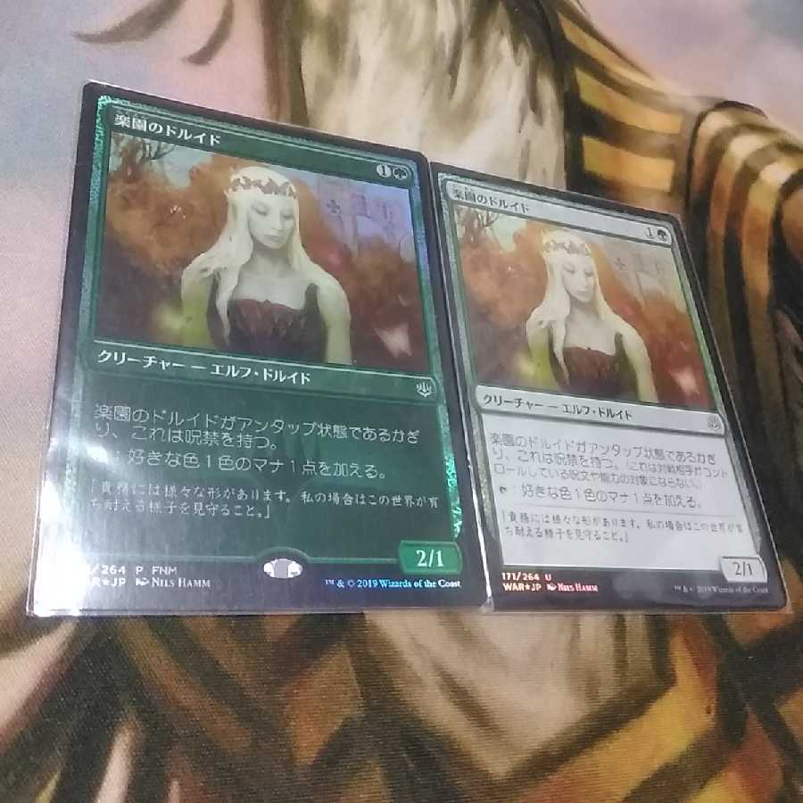 【あんさい様専用】楽園のドルイド★プロモfoil★日1★灯争大戦