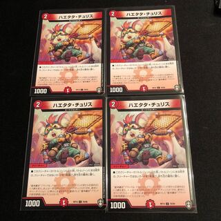 ハエタタ・チュリス