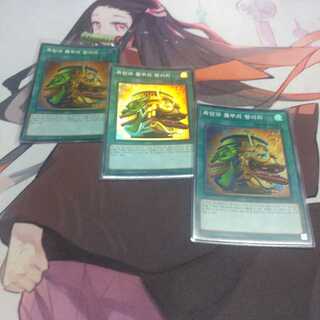 【韓国】　強欲で金満な壺 スーパーレア