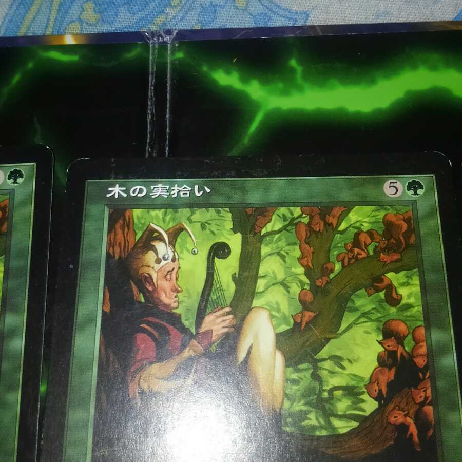 木の実拾い　リス　ドングリの収穫　ナントゥーコの祭殿