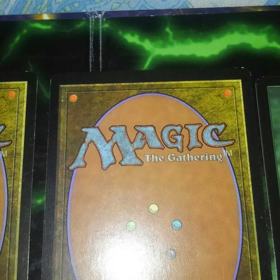 木の実拾い　リス　ドングリの収穫　ナントゥーコの祭殿