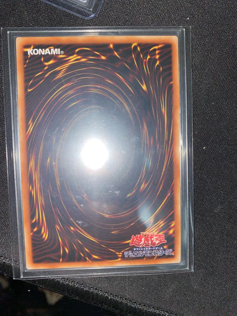 捕食植物ヴェルテ・アナコンダ ウルトラレア