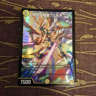 闘門の精霊ウェルキウス