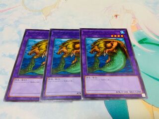 レア・フィッシュ ノーマル3枚セット