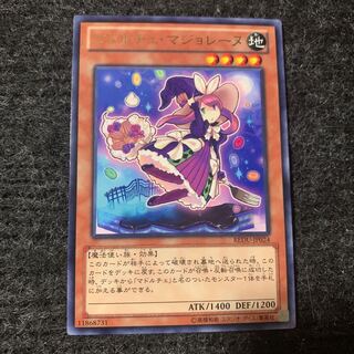 マドルチェ・マジョレーヌ レア