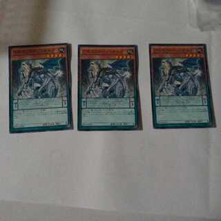 【同時購入割引あり】アモルファージ・オルガ