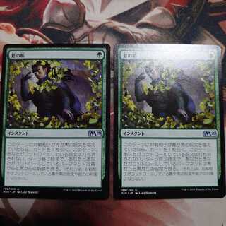 夏の帳 2枚セット