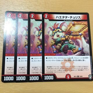 ハエタタ・チュリス C 4枚