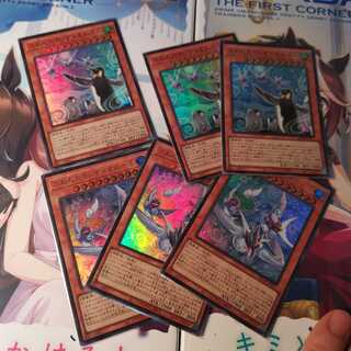 ふわんだりぃず×すのーる