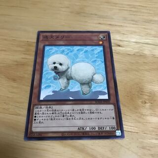 迷犬メリー ノーマルレア　Hulu