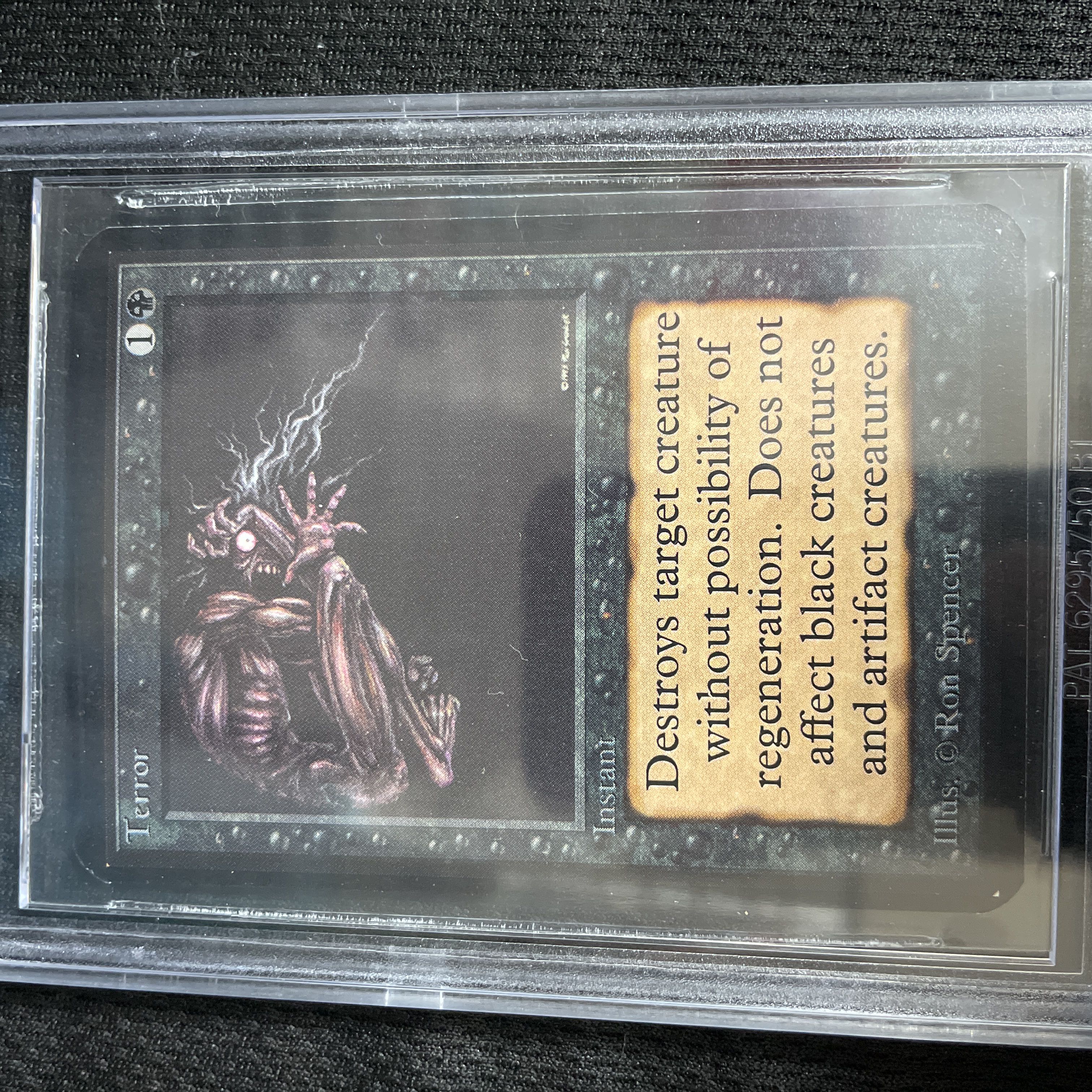 Terror/Terror LEA BGS9.5