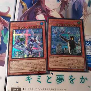 ふわんだりぃず×すのーる