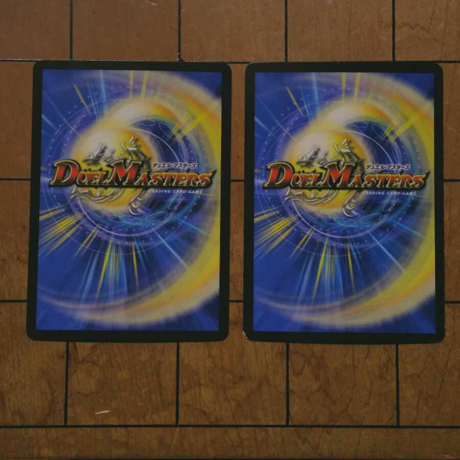 龍風混成 ザーディクリカ 4枚