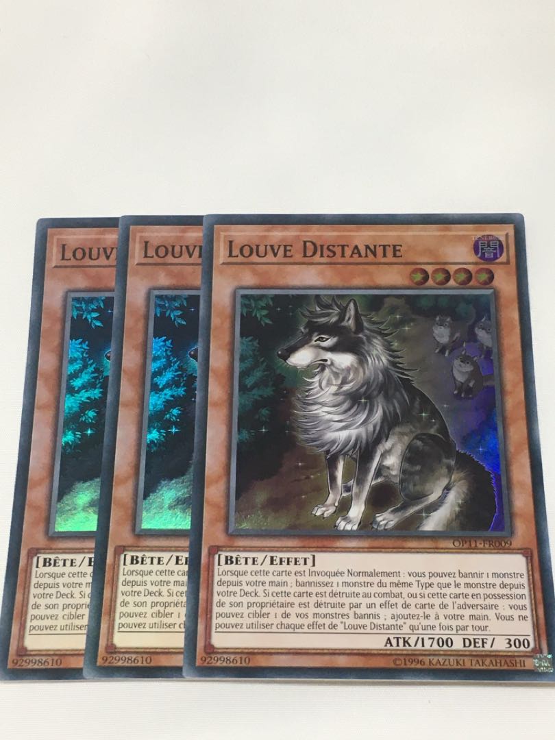 孤高除獣　フランス語版　EU版　3枚