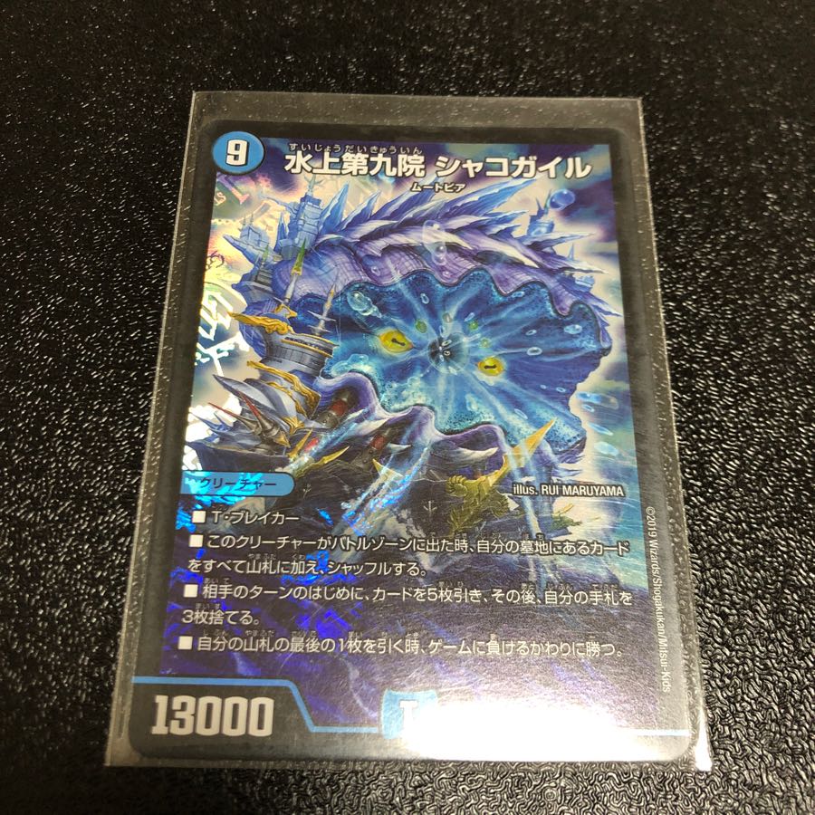 水上第九院シャコガイル