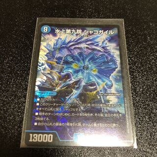 水上第九院シャコガイル