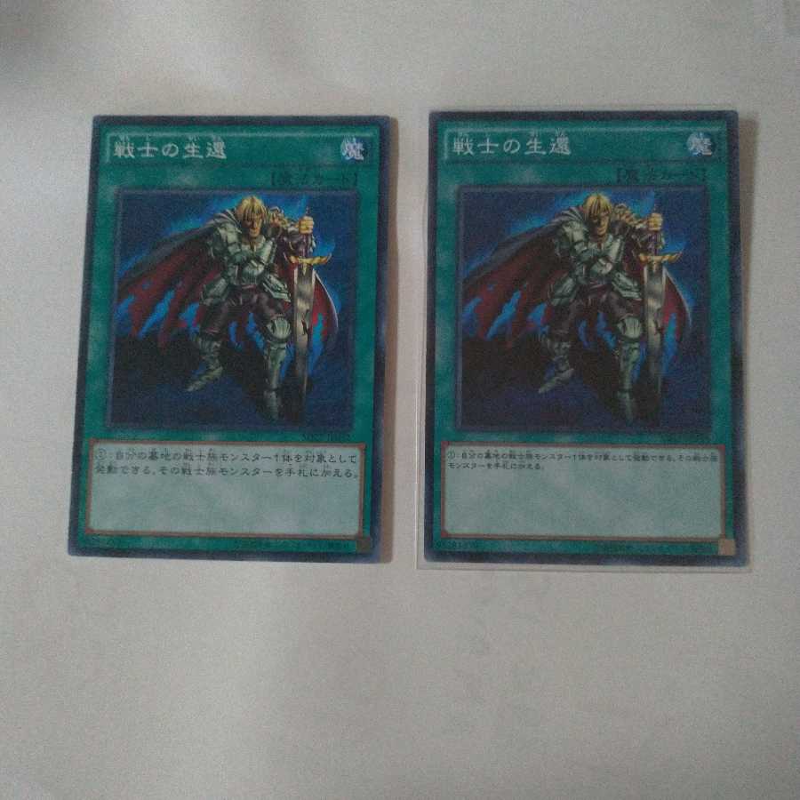 【同時購入割引あり】戦士の生還