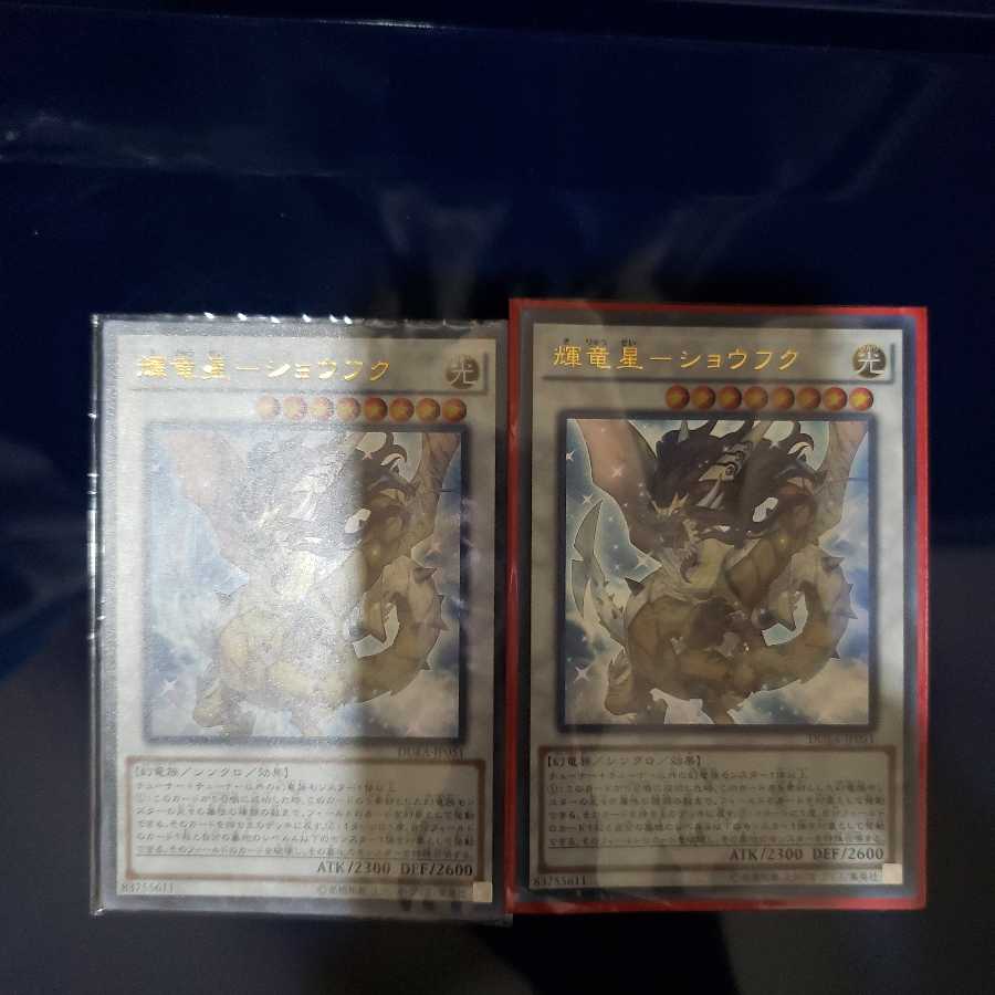 輝竜星-ショウフク