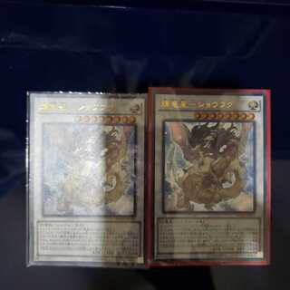 輝竜星-ショウフク