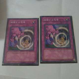 【同時購入割引あり】威嚇する咆哮