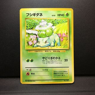 Bulbasaur old back unmarked