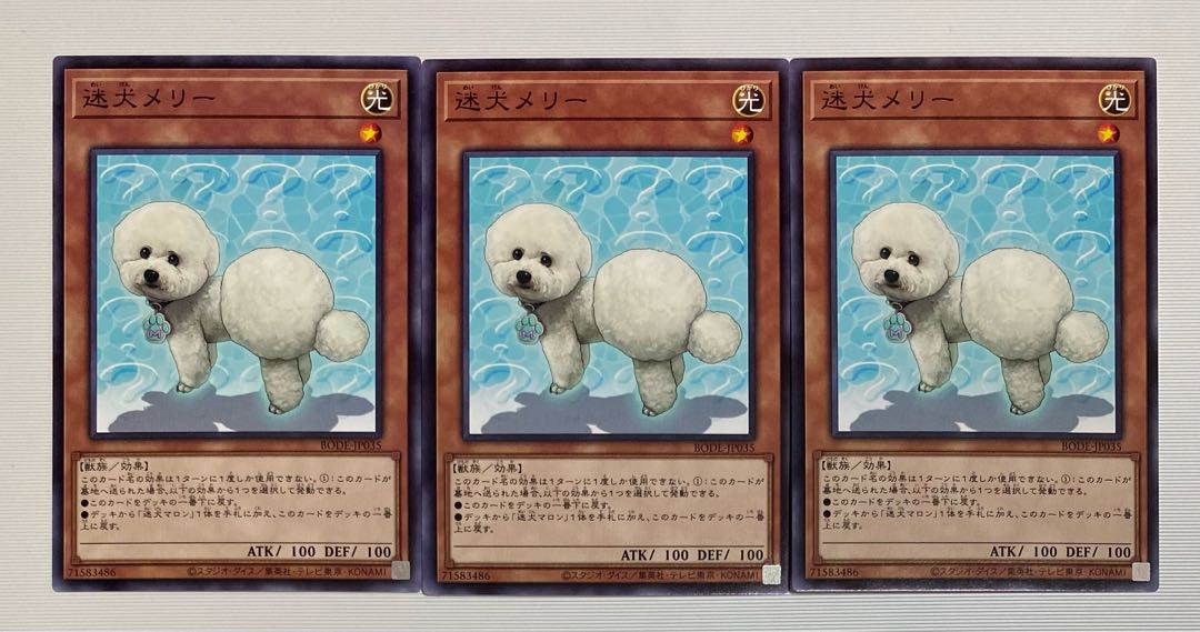 迷犬メリー ノーマルレア　3枚