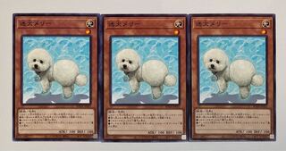 迷犬メリー ノーマルレア　3枚