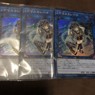 IPマスカレーナ  ３枚