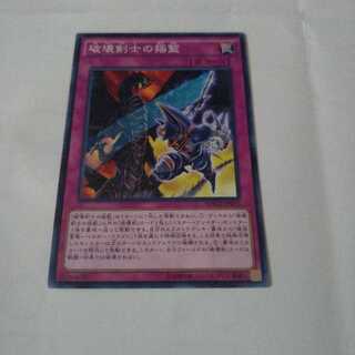 【同時購入割引あり】破壊剣士の揺籃